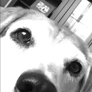 Meet your Posher, Carrie